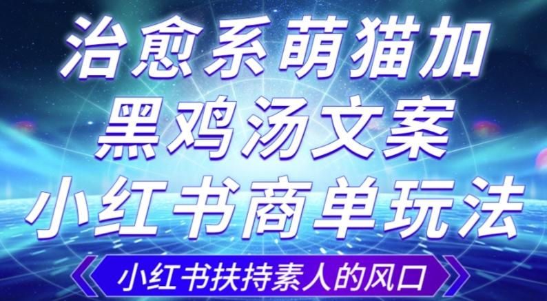 治愈系萌猫加+黑鸡汤文案，小红书商单玩法，3~10天涨到1000粉，一单200左右-test