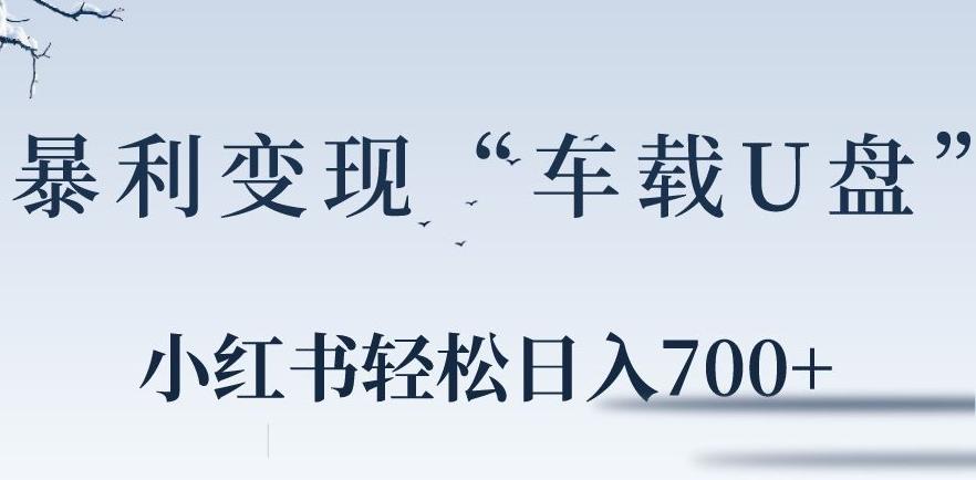 小红书“车载U盘”暴利引流，日入700+-test