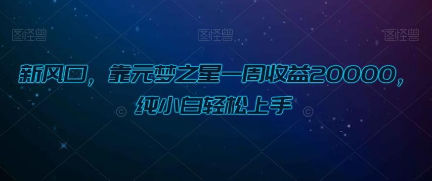 新风口，靠元梦之星一周收益20000，纯小白轻松上手-test
