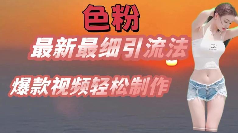 se粉最新最细引流法，七天螺旋起号法，爆款视频轻松制作【揭秘】-test