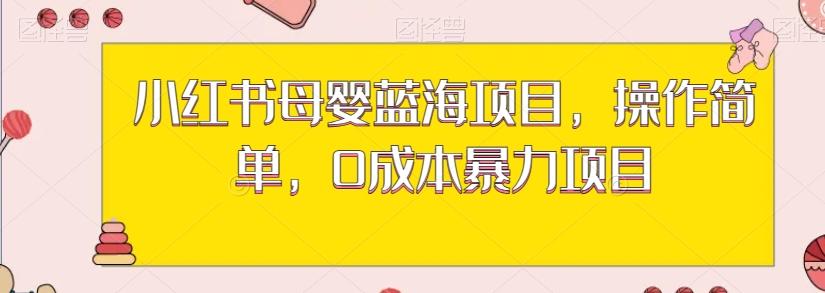 小红书母婴蓝海项目，操作简单，0成本暴力项目-test