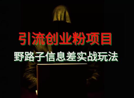 【引流创业粉】野路子信息差玩法实战教学-test
