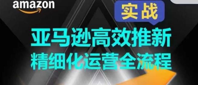 亚马逊高效推新精细化运营全流程，全方位、快速拉升产品排名和销量!-test