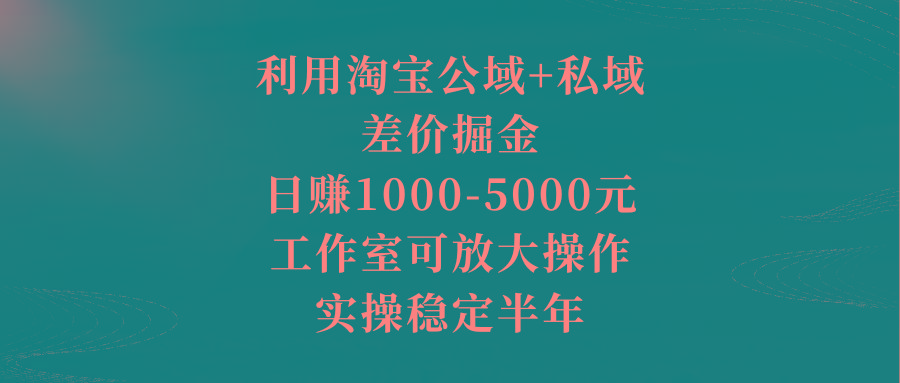 利用淘宝公域+私域差价掘金，日赚1000-5000元，工作室可放大操作，实操…-test