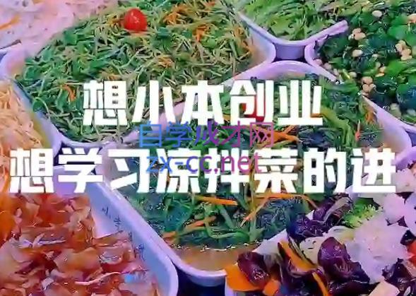 李记·精品凉拌菜系列热卤系列教程-test