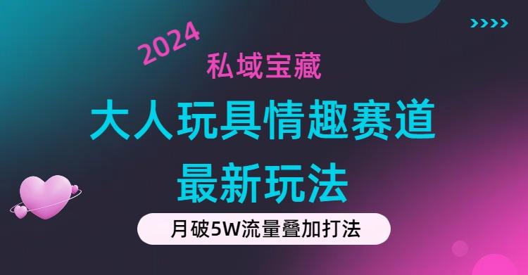 私域宝藏：大人玩具情趣赛道合规新玩法，零投入，私域超高流量成单率高-test