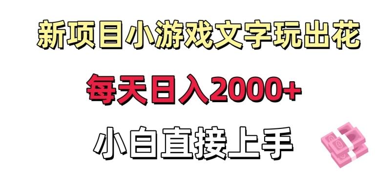 新项目小游戏文字玩出花日入2000+，每天只需一小时，小白直接上手【揭秘】-test