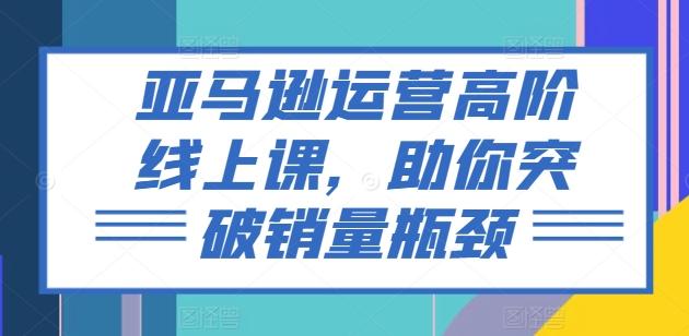 亚马逊运营高阶线上课，助你突破销量瓶颈-test
