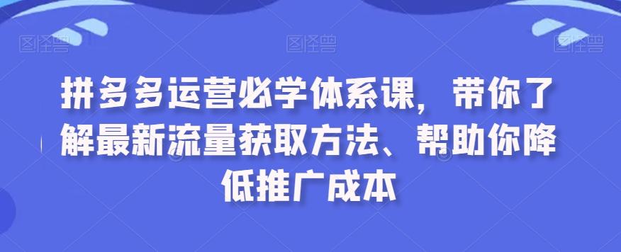 拼多多运营必学体系课，带你了解最新流量获取方法、帮助你降低推广成本-test