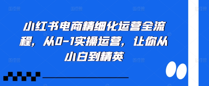 小红书电商精细化运营全流程，从0-1实操运营，让你从小白到精英-test