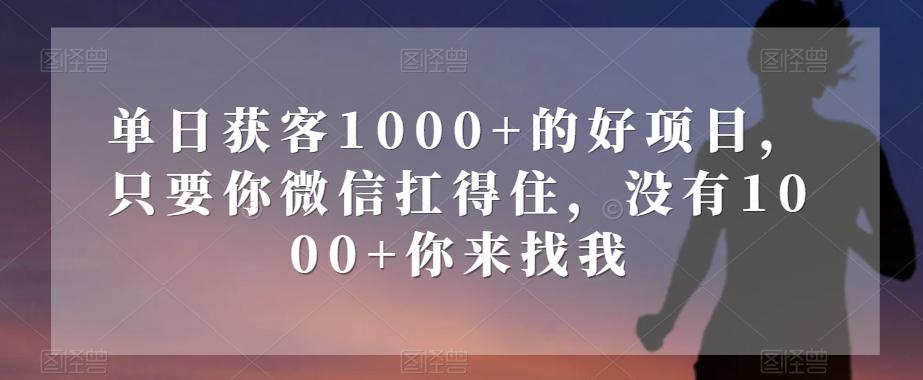 单日获客1000+的好项目，只要你微信扛得住，没有1000+你来找我【揭秘】-test