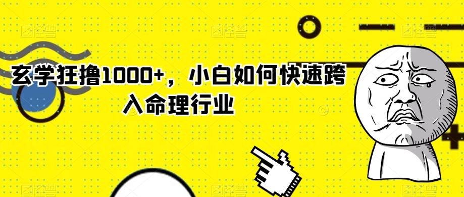 玄学狂撸1000+，小白如何快速跨入命理行业-test
