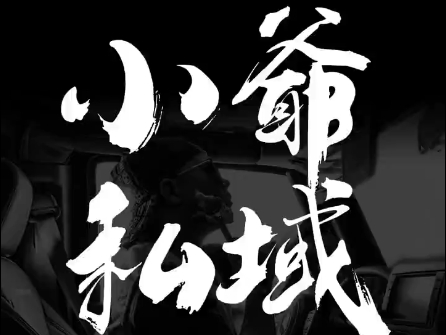 小爷·私域项目操盘手-test