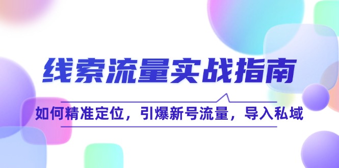 线 索 流 量-实战指南：如何精准定位，引爆新号流量，导入私域-test