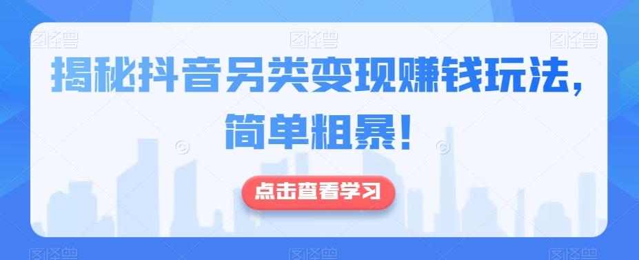 揭秘抖音另类变现赚钱玩法，简单粗暴！-test