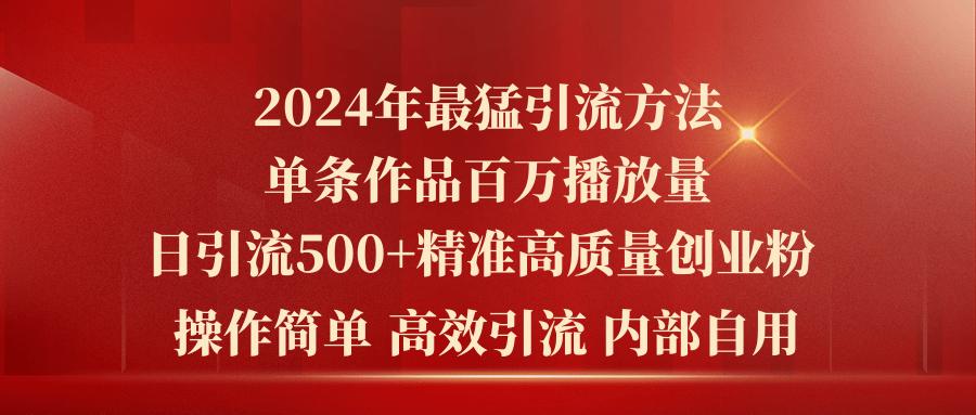 2024年最猛暴力引流方法，单条作品百万播放 单日引流500+高质量精准创业粉-test