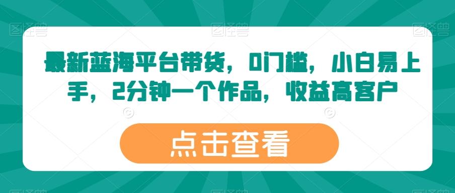 最新蓝海平台带货，0门槛，小白易上手，2分钟一个作品，收益高【揭秘】-test
