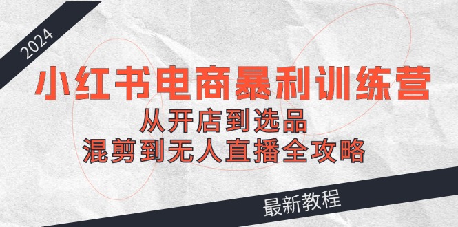 2024小红书电商暴利训练营：从开店到选品，混剪到无人直播全攻略-test