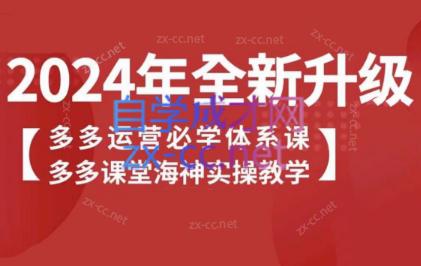 海神老师·拼多多运营必学体系课-test