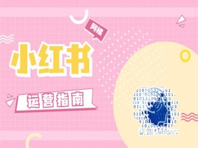 小红书运营指南，没有套路，全是经验-test