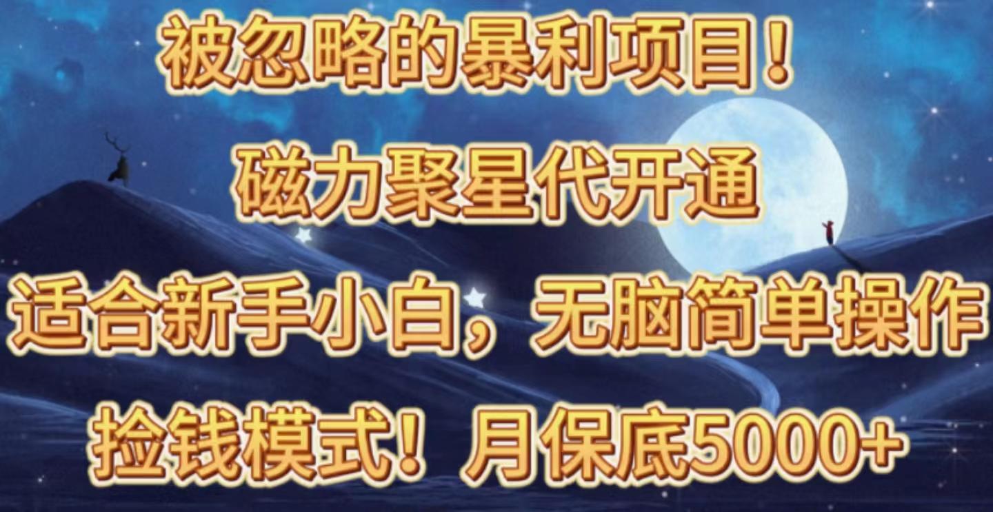 被忽略的暴利项目！磁力聚星代开通捡钱模式，轻松月入五六千-test