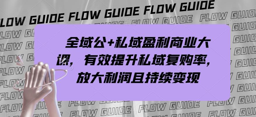 全域公+私域盈利商业大课，有效提升私域复购率，放大利润且持续变现-test
