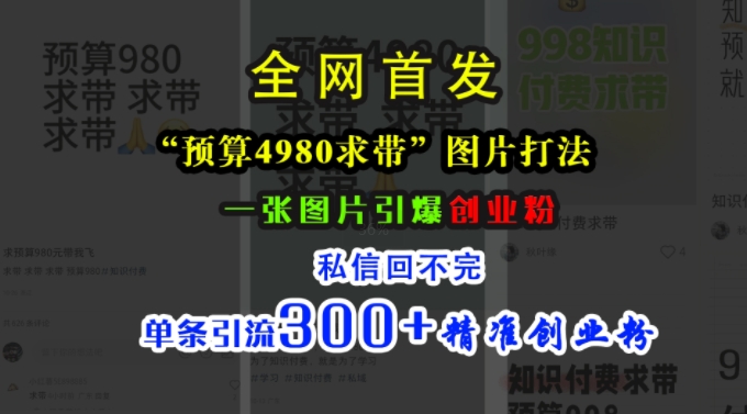 小红书“预算4980带我飞”图片打法，一张图片引爆创业粉，私信回不完，单条引流300+精准创业粉-test