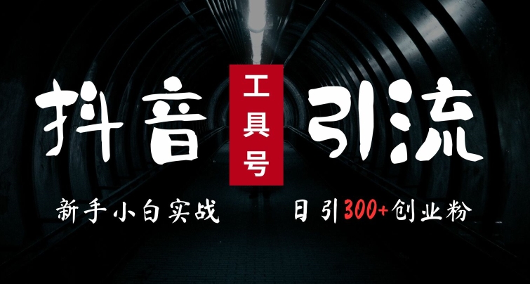 2024最新抖音工具号引流玩法，高效日引300+创业粉，当天变现5k，小白也可成为实战高手-test