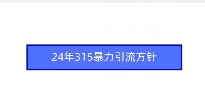 24年315暴力引流方针-test