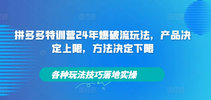 拼多多特训营24年爆破流玩法，产品决定上限，方法决定下限，各种玩法技巧落地实操-test
