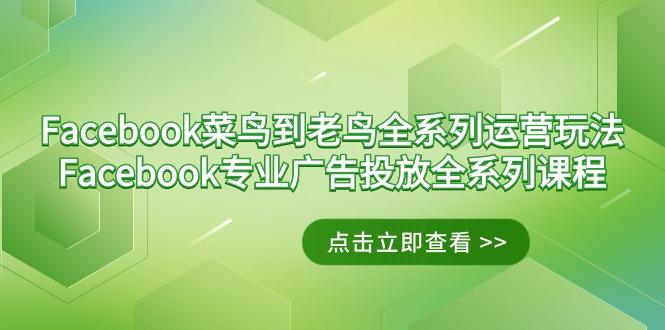 Facebook-菜鸟到老鸟全系列运营玩法+Facebook-专业广告投放全系列课程-test