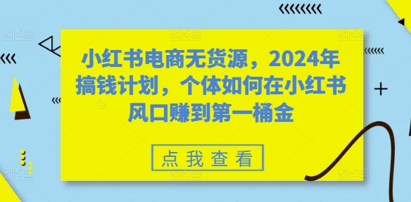 小红书电商无货源，2024年搞钱计划，个体如何在小红书风口赚到第一桶金-test