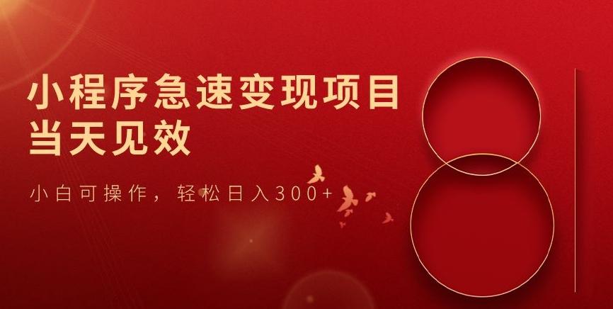 小程序急速变现项目，当天见效，小白可操作，轻松日入300+-test