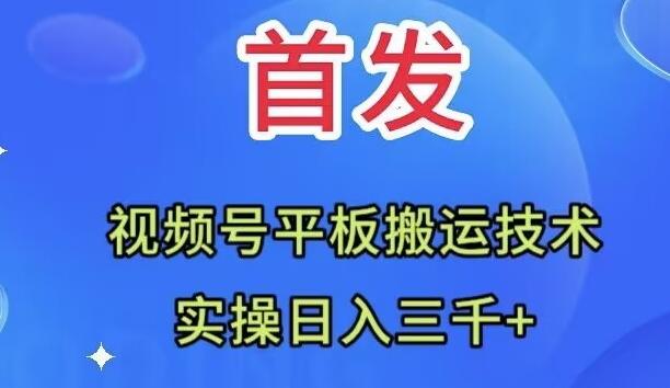 全网首发：视频号平板搬运技术，实操日入三千＋-test