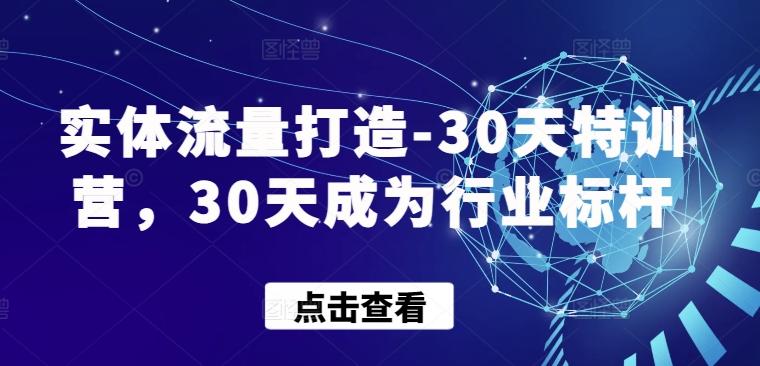 实体流量打造-30天特训营，30天成为行业标杆-test