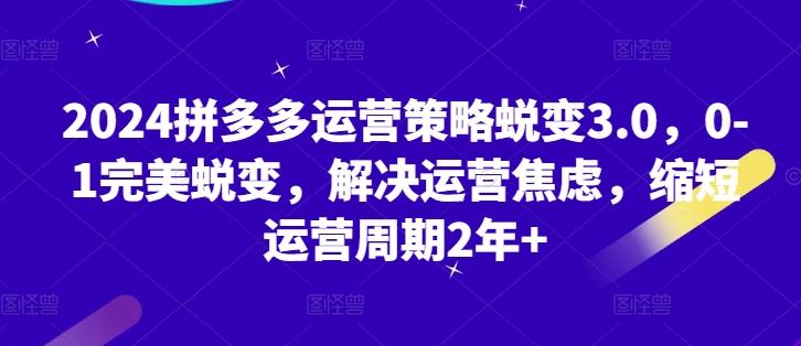 2024拼多多运营策略蜕变3.0，0-1完美蜕变，解决运营焦虑，缩短运营周期2年+-test