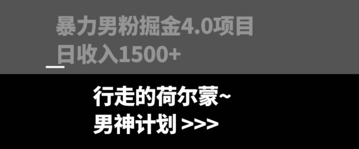 暴力男粉掘金4.0项目不违规不封号无脑复制单人操作日入1000+-test