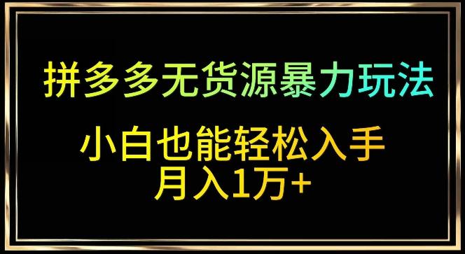 拼多多无货源暴力玩法，全程干货，小白也能轻松入手，月入1万+【揭秘】-test