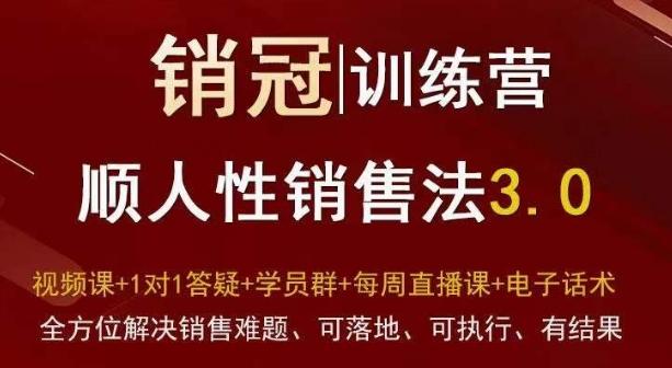爆款！销冠训练营3.0之顺人性销售法，全方位解决销售难题、可落地、可执行、有结果-test