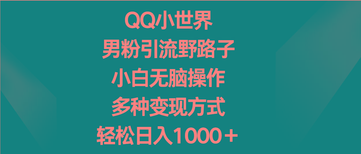 QQ小世界男粉引流野路子，小白无脑操作，多种变现方式轻松日入1000＋-test