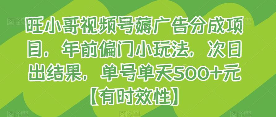 旺小哥视频号薅广告分成项目，年前偏门小玩法，次日出结果，单号单天500+元【有时效性】-test