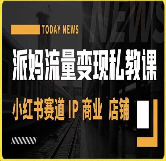 派妈流量变现私教课，小红书赛道IP  商业  店铺 -test