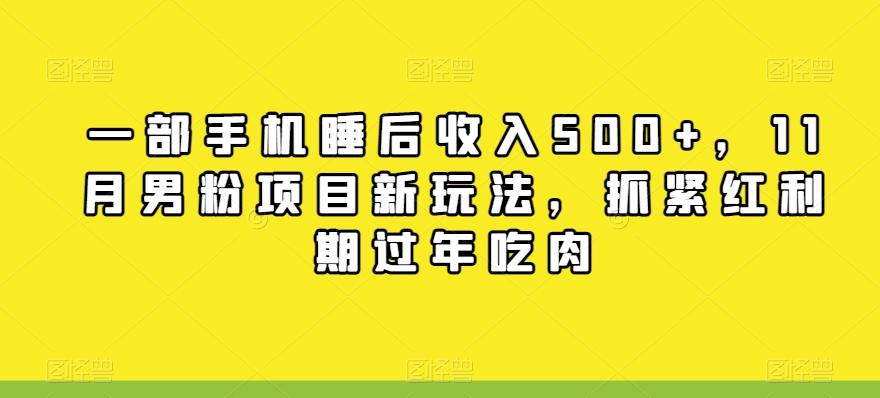 一部手机睡后收入500+，11月男粉项目新玩法，抓紧红利期过年吃肉-test