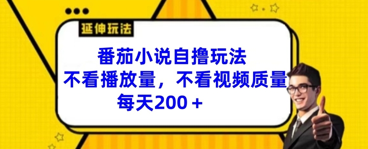 番茄小说自撸玩法，不看播放量，不看视频质量，每天200+【揭秘】-test