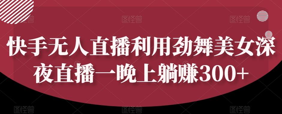 快手无人直播利用劲舞美女深夜直播一晚上躺赚300+-test