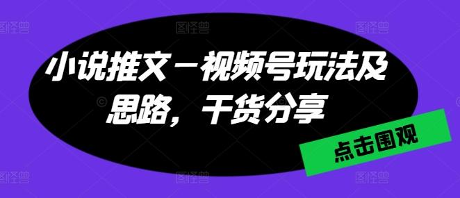 小说推文—视频号玩法及思路，干货分享-test