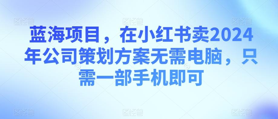 蓝海项目，在小红书卖2024年公司策划方案无需电脑，只需一部手机即可-test