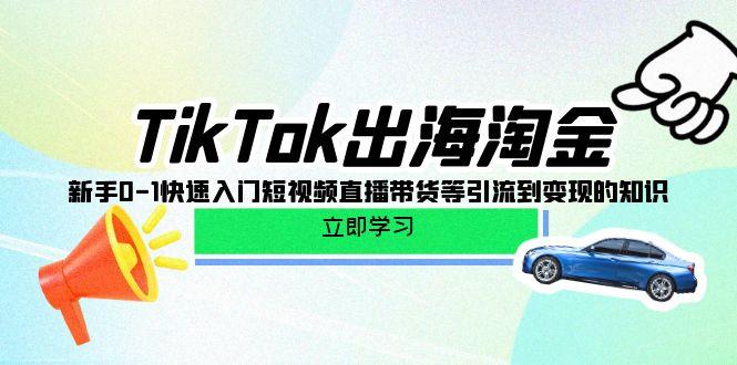 (10035期)TikTok-出海淘金，新手0-1快速入门短视频直播带货等引流到变现的知识-test