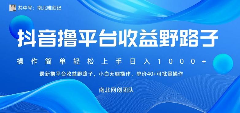 最新撸抖音平台收益野路子，操作简单，单价高，小白可无脑操作可日入1000+-test