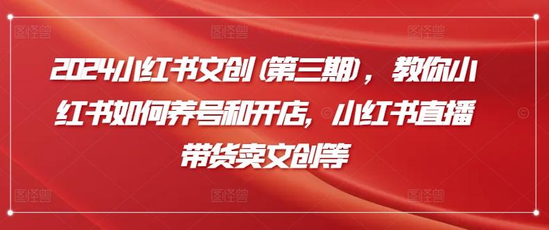 2024小红书文创(第三期)，教你小红书如何养号和开店，小红书直播带货卖文创等-test